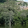 Zoo de Tsimbazaza