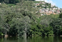 Zoo de Tsimbazaza