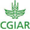 Consultative Group on International Agricultural Research - CGIAR - BBC News<br />