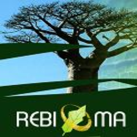 logo_rebioma.png